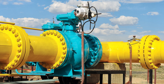 Tenaga Nasional seeks 1 bln euro loan for Bord Gais bid